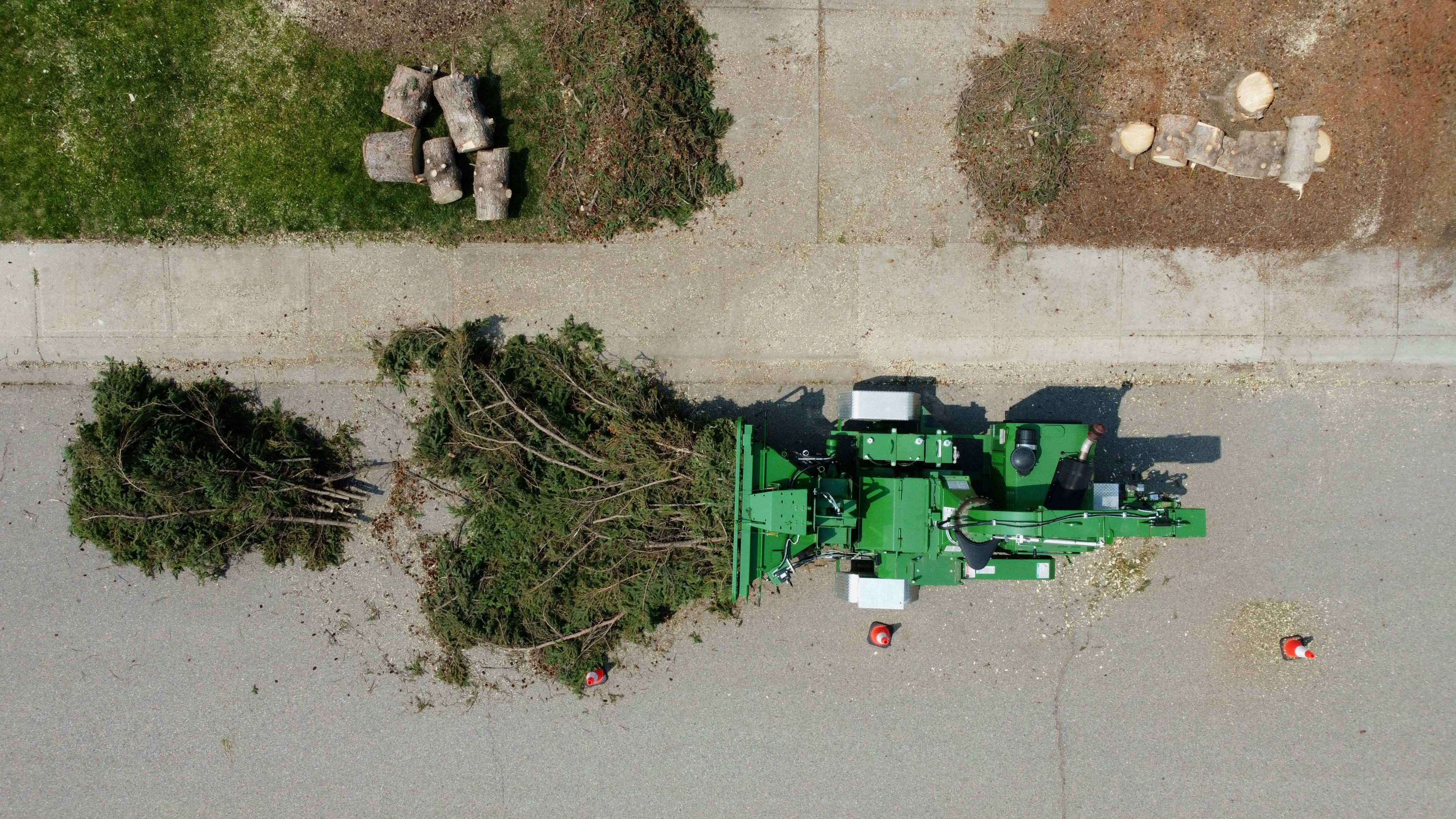 Emergency tree clean-up and removal