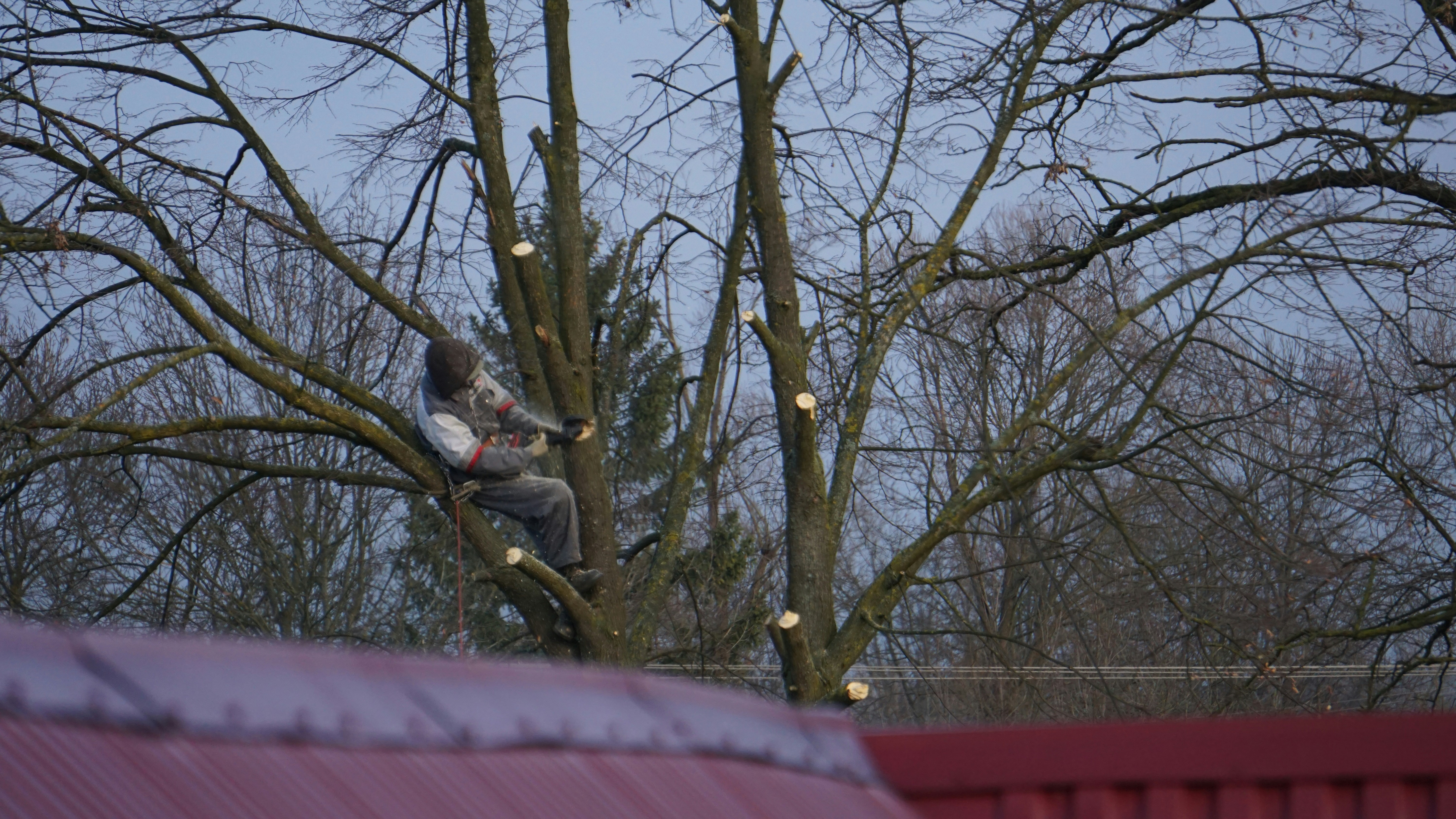 Roof and structure clearing